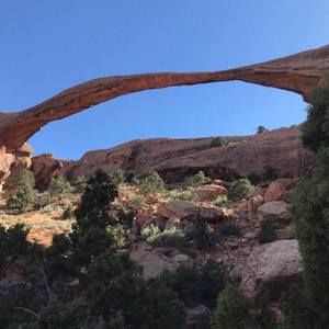 Meet your Posher, Tamara